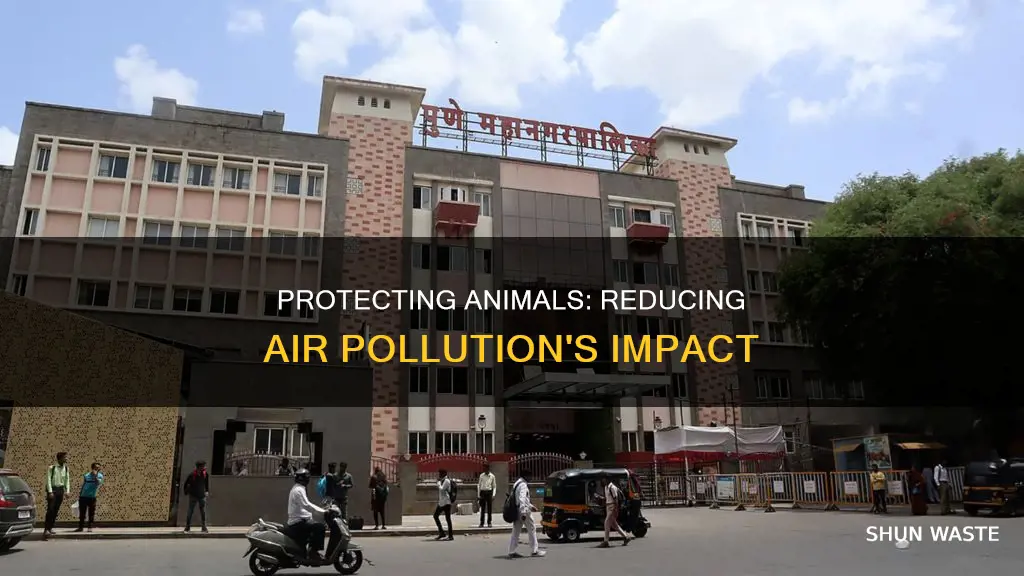 how to prevent air pollution for animals