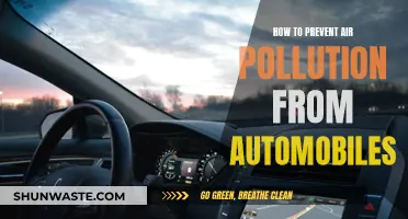 Reducing Auto Air Pollution: Strategies for Cleaner Air