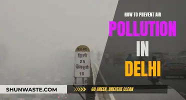 Delhi's Air Pollution: Strategies for a Cleaner Tomorrow