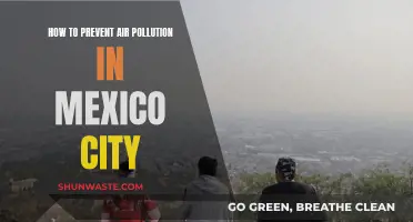 Preventing Air Pollution: Mexico City's Strategies for Cleaner Air