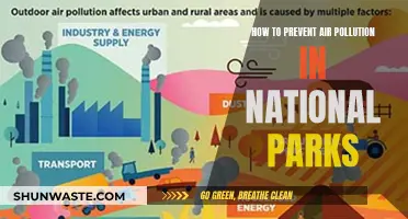 Protecting National Parks: Preventing Air Pollution