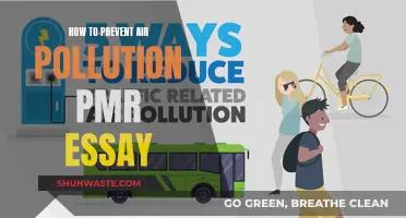 Preventing Air Pollution: Simple Steps for a Cleaner Tomorrow