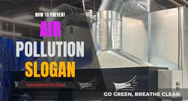 Air Quality: Preventing Pollution with Simple Steps