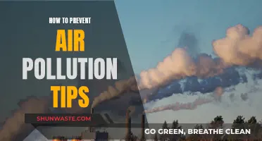 Air Pollution: Tips for a Cleaner Tomorrow