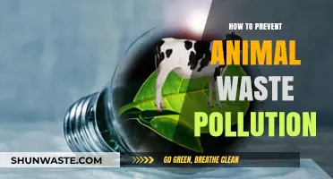 Preventing Animal Waste Pollution: Strategies for a Greener Future