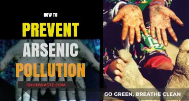 Preventing Arsenic Pollution: Strategies for a Safe Environment