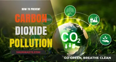 Carbon Dioxide Control: Strategies to Reduce Emissions