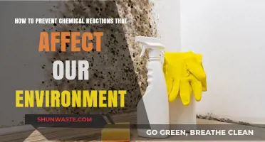 Preventing Harmful Chemical Reactions: Eco-Friendly Strategies for a Sustainable Environment