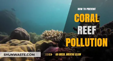 Protect Coral Reefs: Prevent Pollution and its Devastating Effects