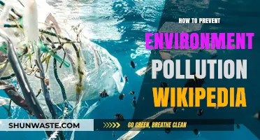 Preventing Environmental Pollution: Steps to Take Now