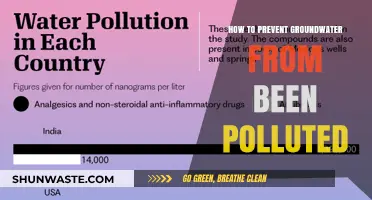 Protecting Our Groundwater: Preventing Pollution at the Source