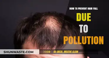 Combat Pollution-Induced Hair Loss with These Tips