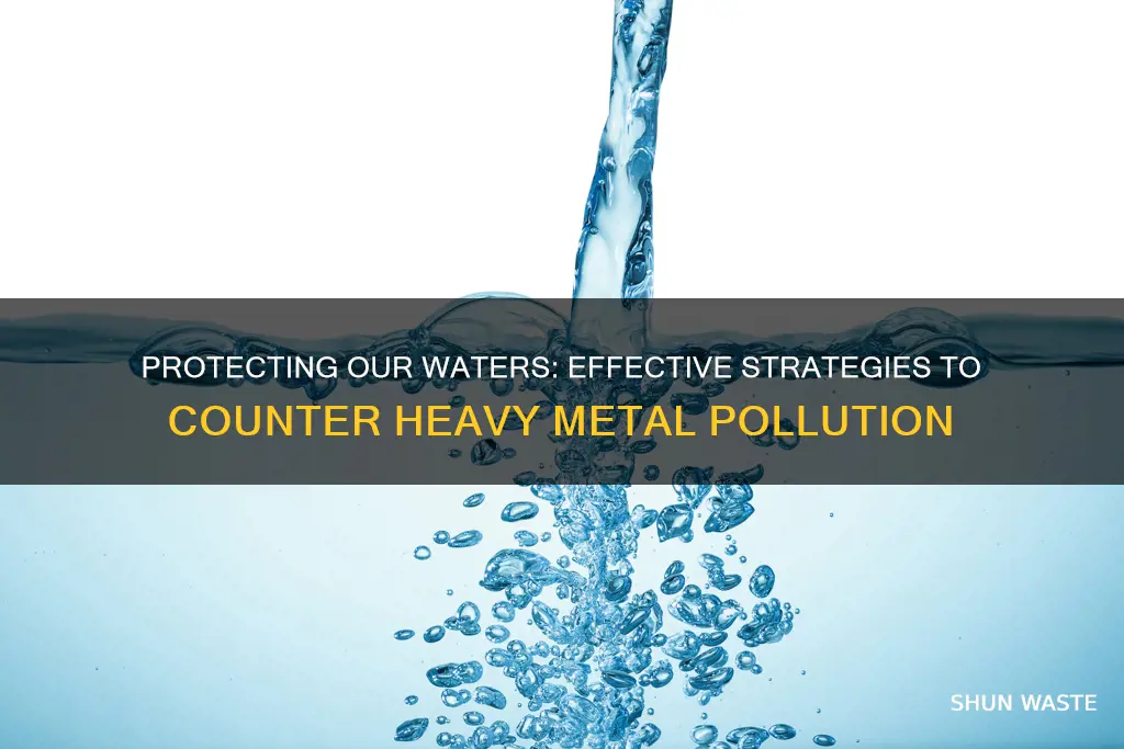 how to prevent heavy metal pollution in water