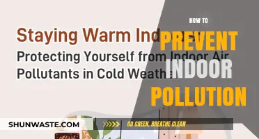 Purifying Your Indoor Air: Preventing Pollution at Home