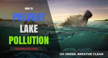 Protecting Lakes: Preventing Pollution and Preserving Nature