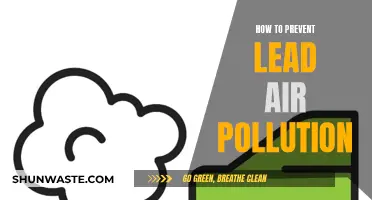 Preventing Lead Air Pollution: Strategies for a Healthier Environment