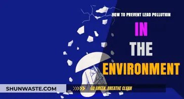 Preventing Lead Pollution: Strategies for a Greener Future