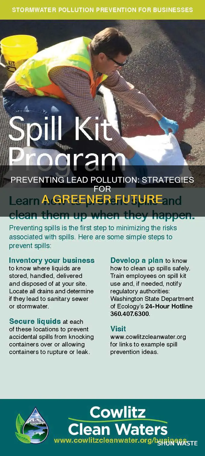 how to prevent lead pollution in the environment