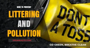 Keep Our Planet Clean: Stop Littering and Pollution