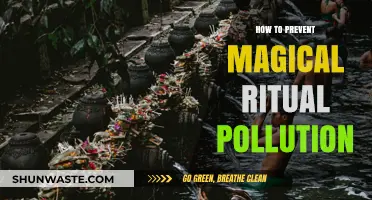 Preventing Ritual Pollution: Magical Practices for Purification