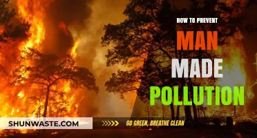 Preventing Man-Made Pollution: Strategies for a Greener Future