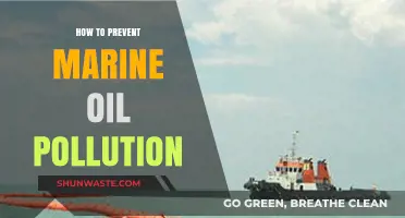 Preventing Marine Oil Pollution: Strategies for a Sustainable Future