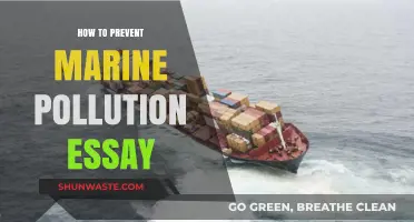 Protecting Our Oceans: Preventing Marine Pollution