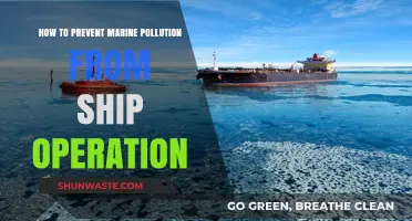 Preventing Marine Pollution: Sustainable Ship Operations