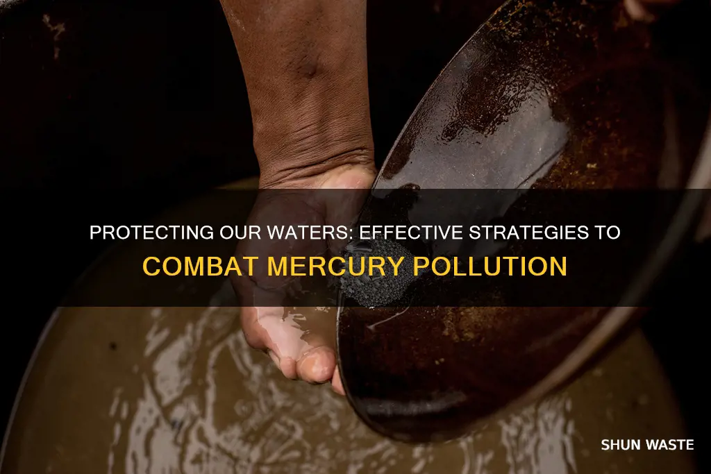 how to prevent mercury pollution in water