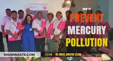 Preventing Mercury Pollution: Strategies for a Cleaner Environment