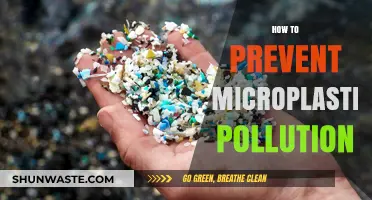 Preventing Microplastic Pollution: Actionable Steps to Take Now