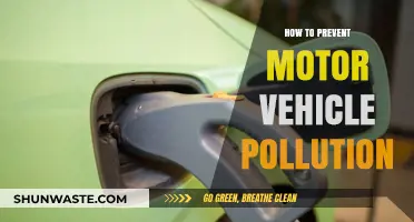 Green Driving: Preventing Motor Vehicle Pollution