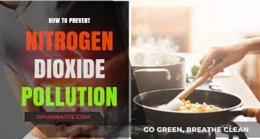 Nitrogen Dioxide Pollution: Prevention Strategies and Solutions