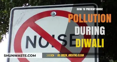 Preventing Noise Pollution: Green and Quiet Diwali