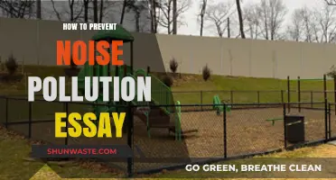 Preventing Noise Pollution: Strategies for a Quieter World