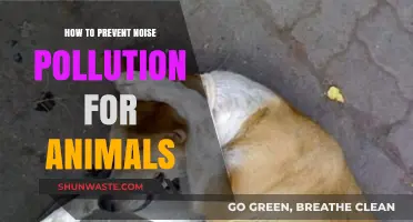 Protecting Animals: Reducing Noise Pollution