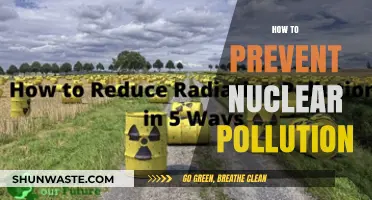 Preventing Nuclear Pollution: Strategies for a Safe Future