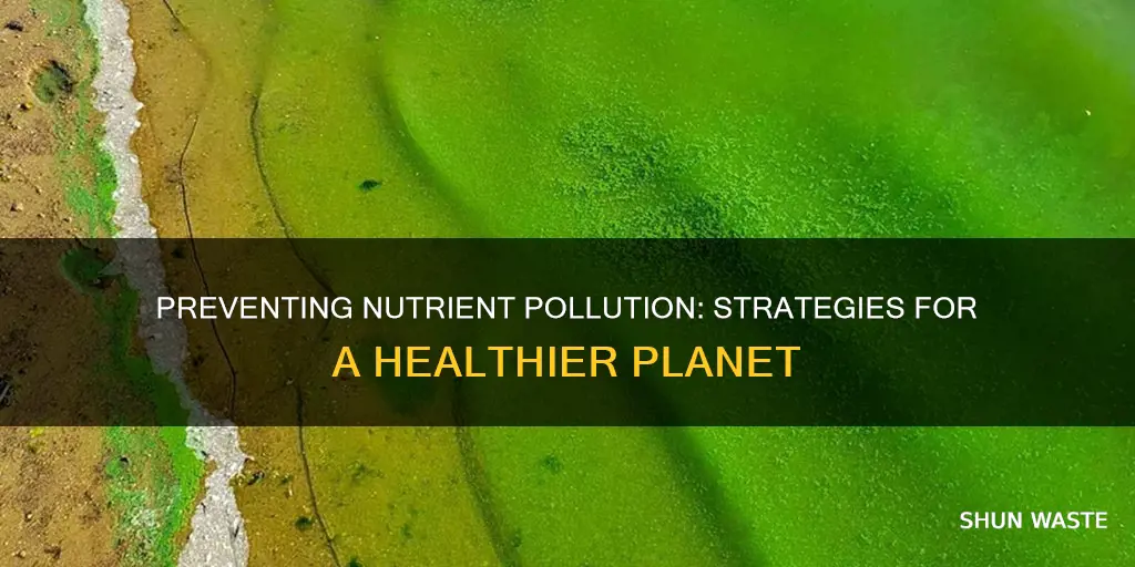 how to prevent nutrient pollution
