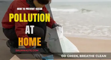 Ocean Pollution: Simple Household Solutions