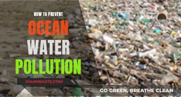 Protecting Our Oceans: Effective Strategies to Prevent Water Pollution