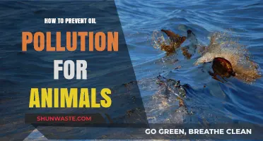 Protecting Animals: Preventing Oil Pollution's Deadly Impact
