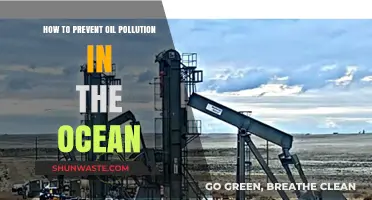 Preventing Oil Pollution: Ocean Protection Strategies