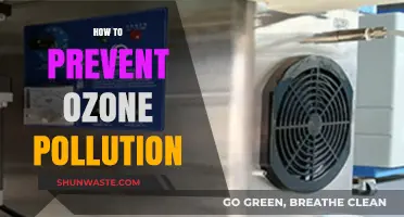 Protecting Our Ozone Layer: Preventing Pollution