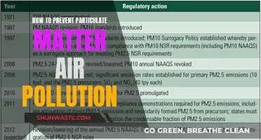 Preventing Particulate Matter Pollution: Strategies for Clean Air