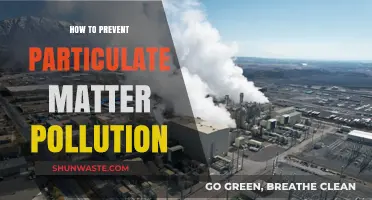 Preventing Particulate Matter Pollution: Strategies for Clean Air