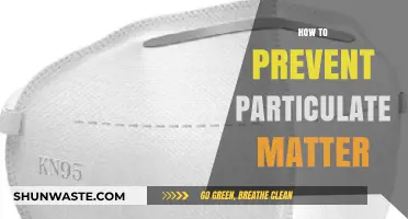 Preventing Particulate Matter: Strategies for Cleaner Air