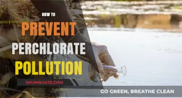 Preventing Perchlorate Pollution: Strategies for a Safe Environment