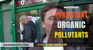 Strategies to Combat Persistent Organic Pollutants