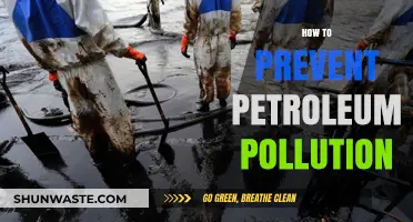 Preventing Petroleum Pollution: Strategies for a Sustainable Future