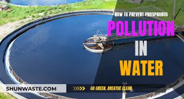 Protecting Our Waters: Effective Strategies to Prevent Phosphorus Pollution